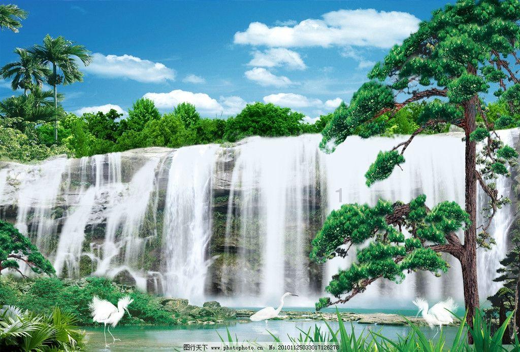 春雨直播app